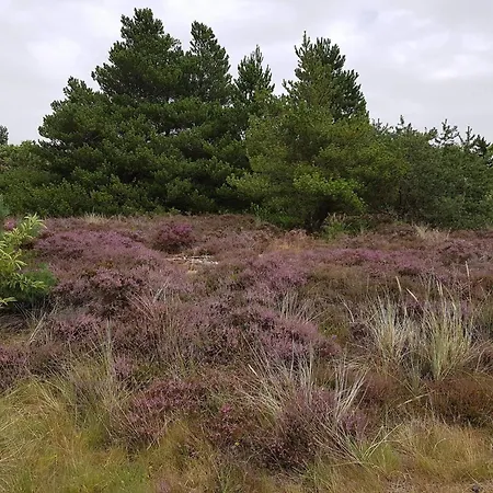 別荘 6 Person In Romo