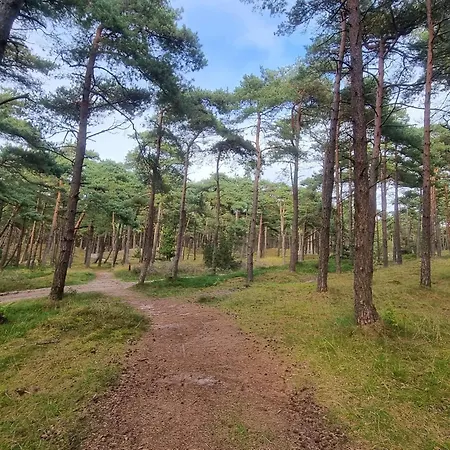 6 Person In Romo 度假居 *