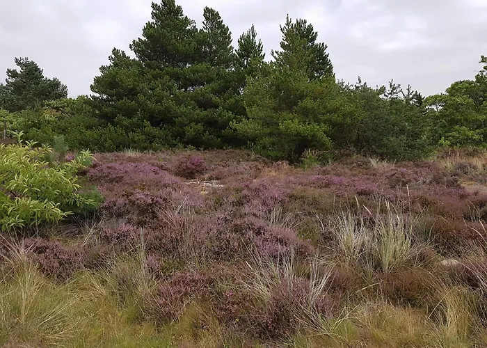 Дом отдыха 6 Person In Romo