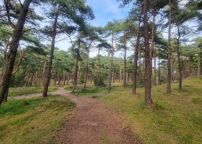 6 Person In Romo Сasa de vacaciones *